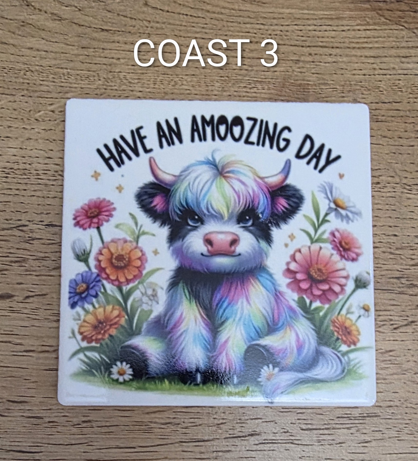Ceramic Coasters Singles