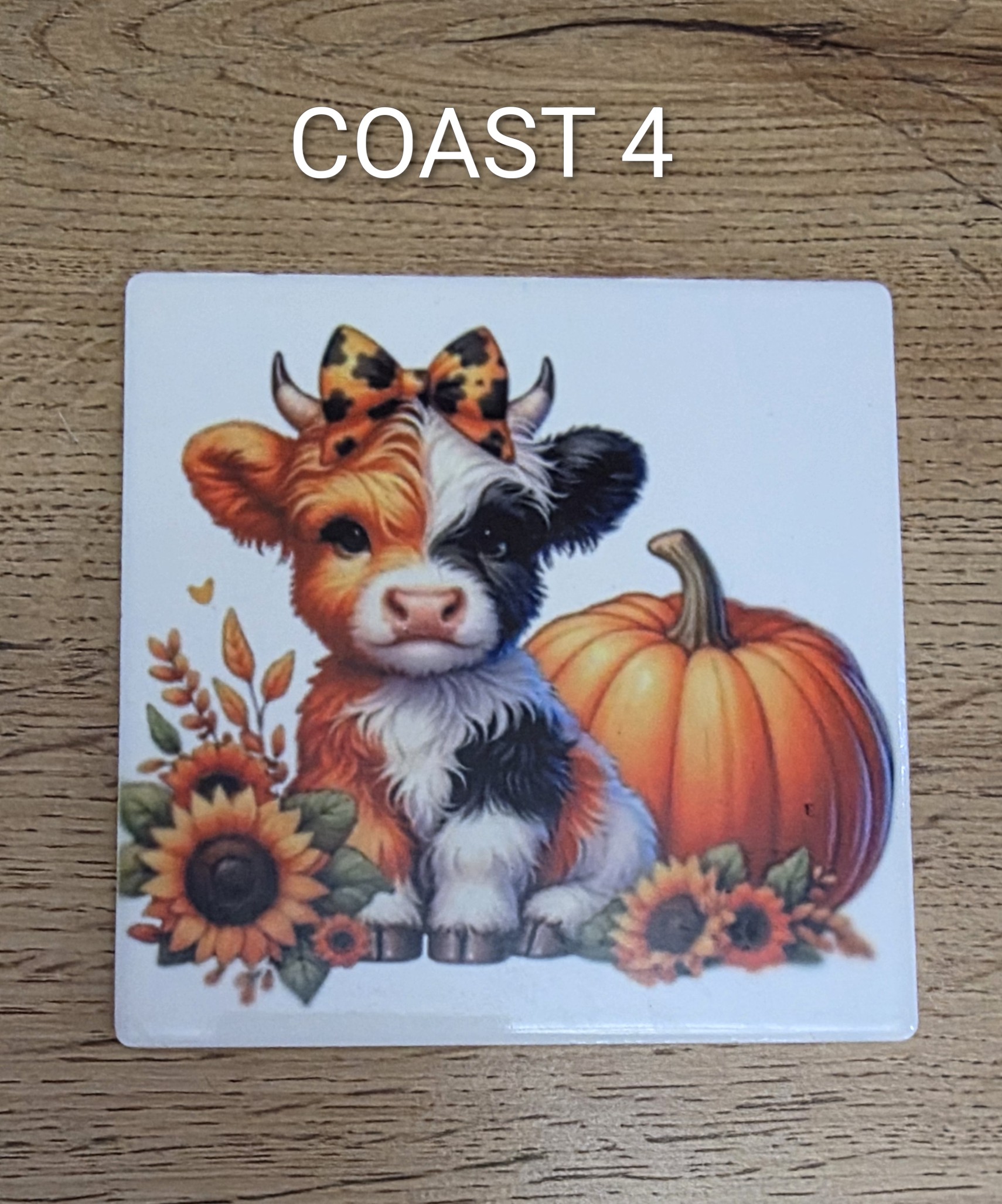 Ceramic Coasters Singles - Image 5